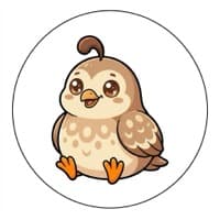 Quincy the Quail
